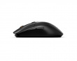 Rival 3 Trådlös RGB Gamingmus (DEMO)