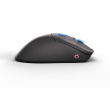 Model D PRO Wireless Gamingmus - Vice - Forge Limited Edition (DEMO)