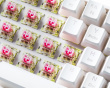 WK90 RGB 60% Hotswap Mekaniskt Tangetbord [Pink Linear] - Vit  (DEMO)
