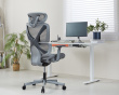 SpineX V2 Ergonomisk Kontorsstol - Grå (DEMO)