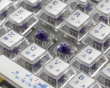 Outlaw65 - Year of the Dragon Limited Edition [MX2A Purple] (DEMO)