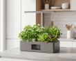 Hydroponiskt Odlingssystem med LED - Inomhusträdgård för 12 Plantor (DEMO)