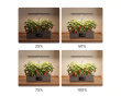 Hydroponiskt Odlingssystem med LED - Inomhusträdgård för 12 Plantor (DEMO)