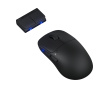 TenZ Mini Signature Edition 2.0 Gamingmus - Svart (DEMO)