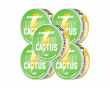 Pouch Energy - Lemon & Cactus (5-Pack)