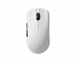 LGG Bundle - Vit